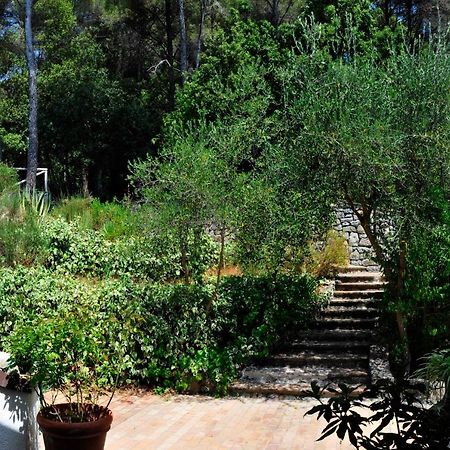 B&B Al Cavalluccio Marino Monte Marcello Bagian luar foto