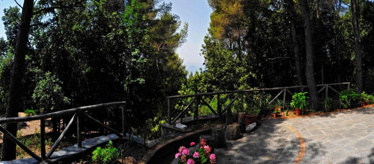 B&B Al Cavalluccio Marino Monte Marcello Bagian luar foto