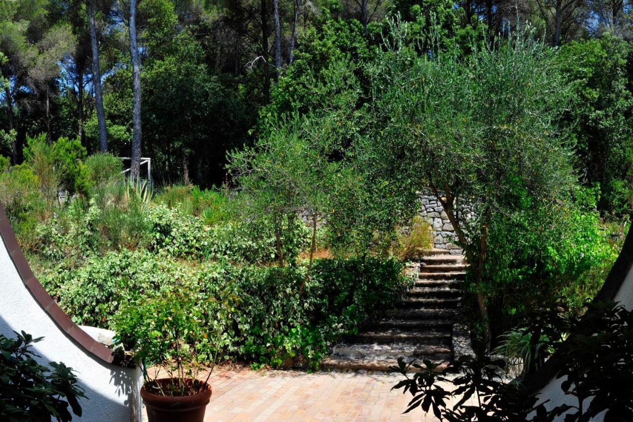 B&B Al Cavalluccio Marino Monte Marcello Bagian luar foto