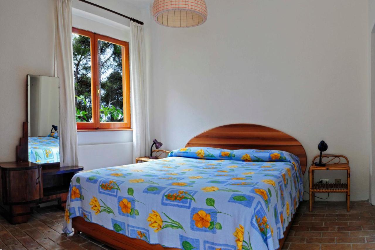 B&B Al Cavalluccio Marino Monte Marcello Bagian luar foto